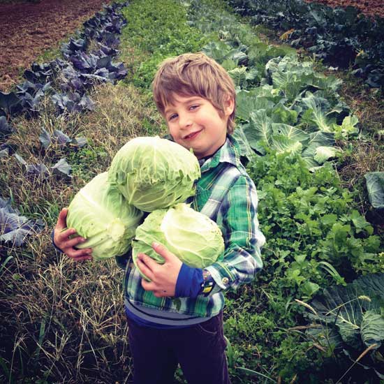 Son Cay proudly balances a bounty of cabbage.